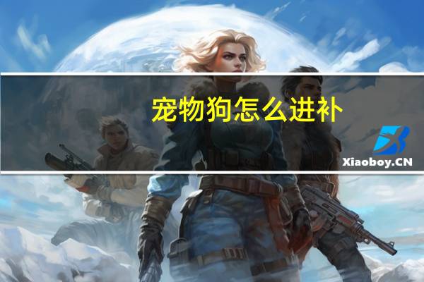 宠物狗怎么进补