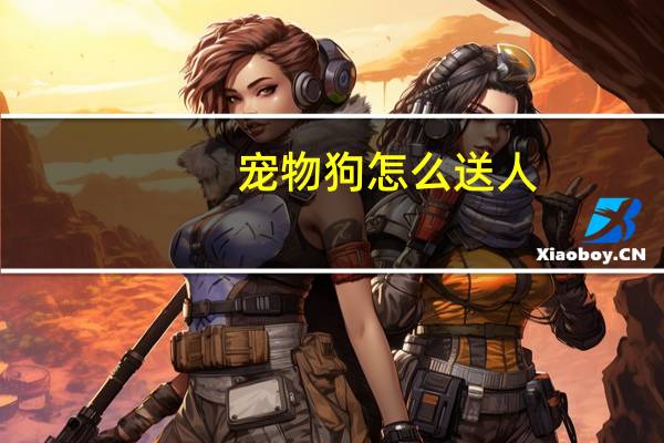 宠物狗怎么送人