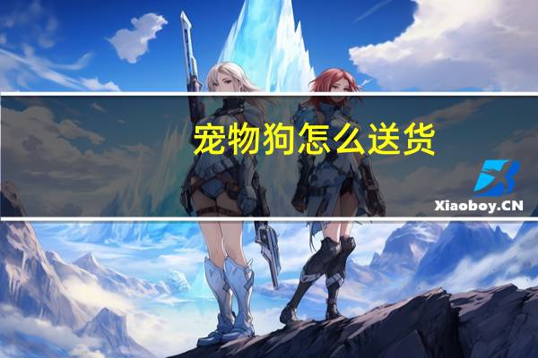 宠物狗怎么送货
