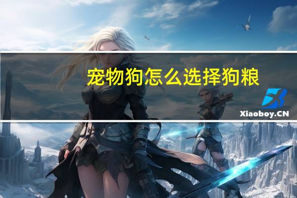 宠物狗怎么选择狗粮