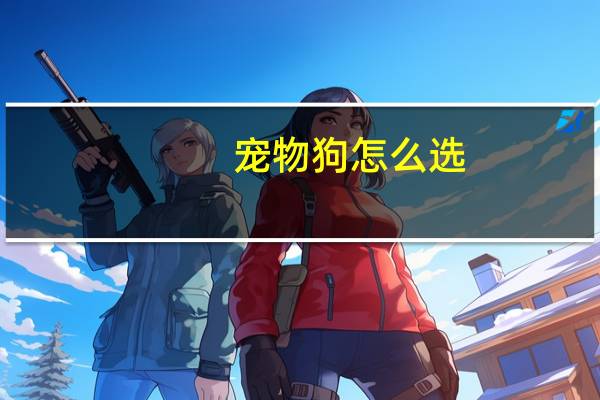 宠物狗怎么选