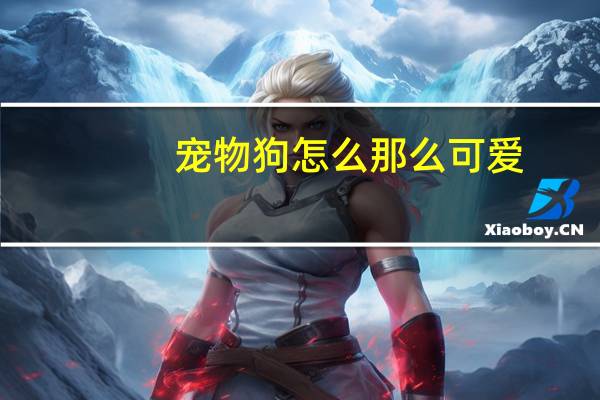 宠物狗怎么那么可爱