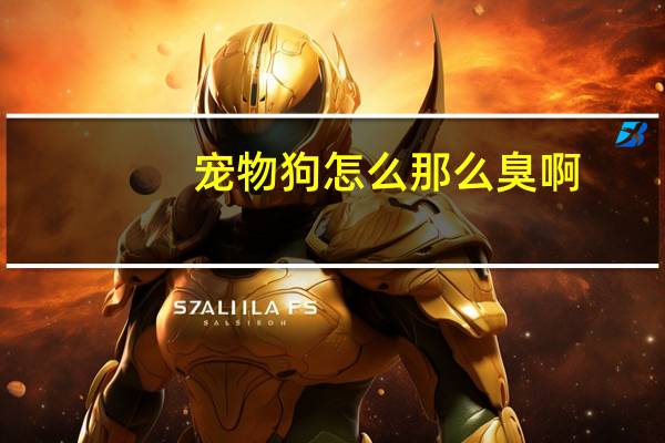 宠物狗怎么那么臭啊