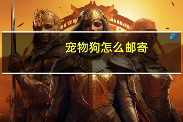 宠物狗怎么邮寄