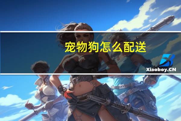 宠物狗怎么配送