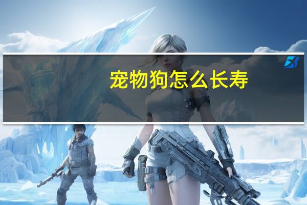 宠物狗怎么长寿