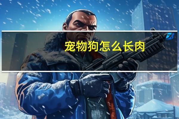 宠物狗怎么长肉
