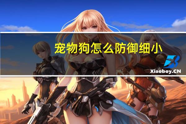 宠物狗怎么防御细小
