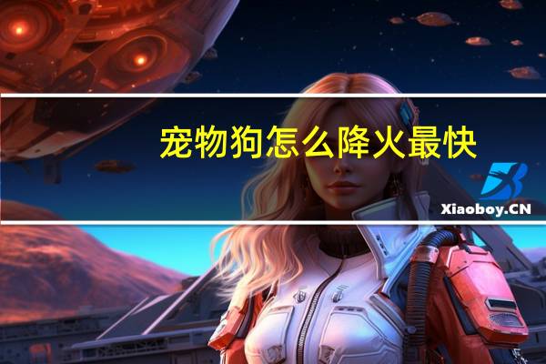 宠物狗怎么降火最快