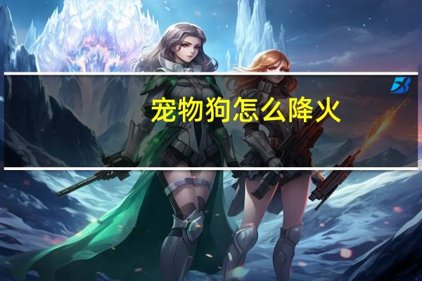 宠物狗怎么降火