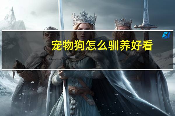 宠物狗怎么驯养好看