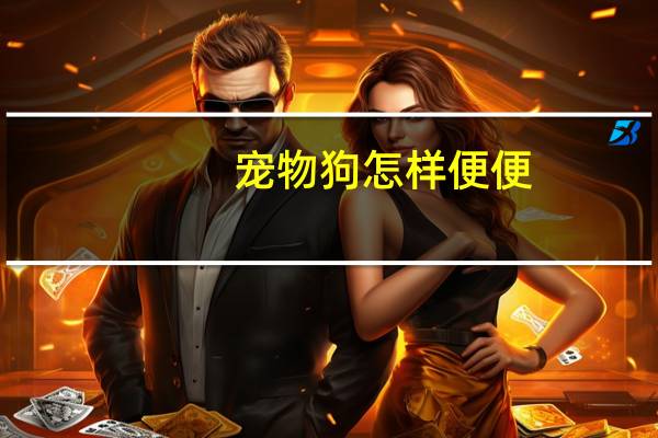 宠物狗怎样便便