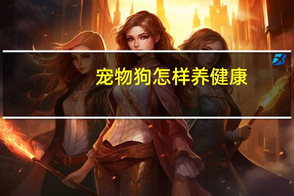 宠物狗怎样养健康