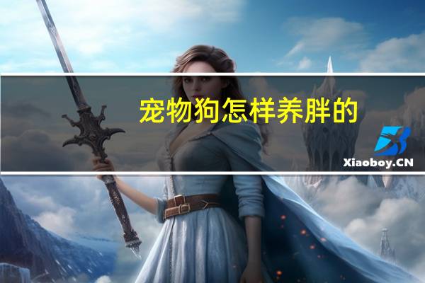 宠物狗怎样养胖的