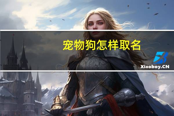宠物狗怎样取名