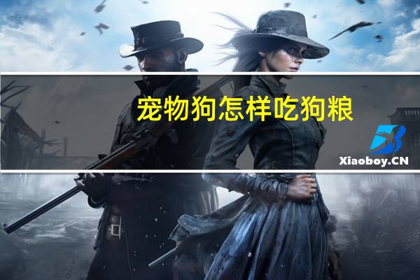 宠物狗怎样吃狗粮