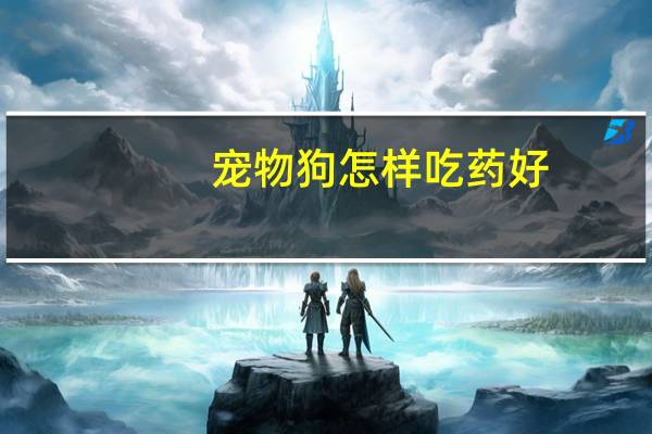 宠物狗怎样吃药好