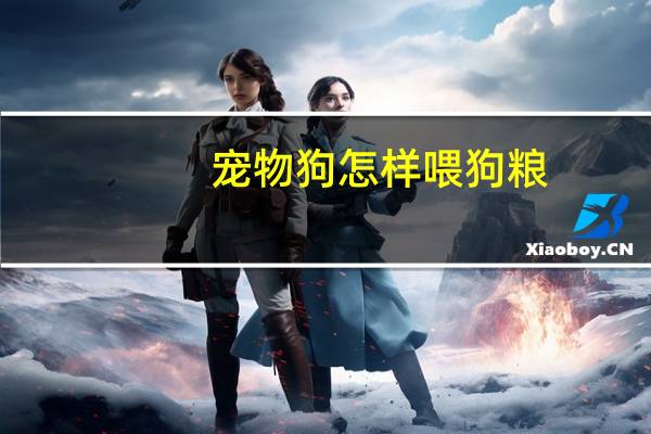 宠物狗怎样喂狗粮
