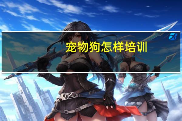 宠物狗怎样培训