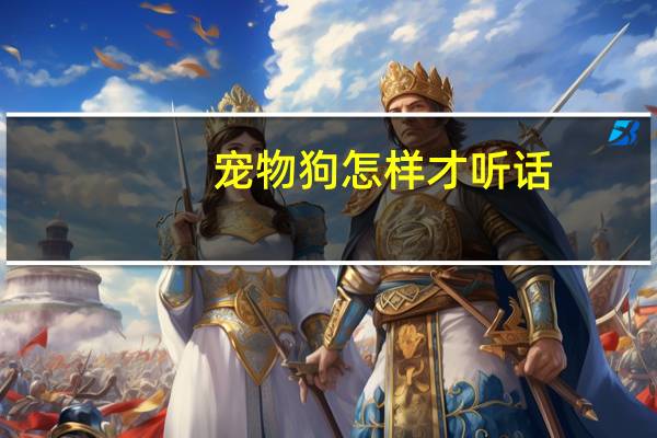 宠物狗怎样才听话