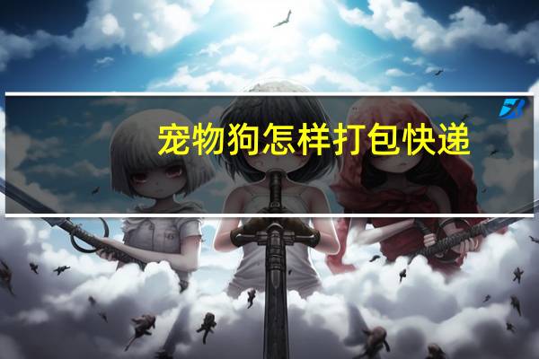 宠物狗怎样打包快递