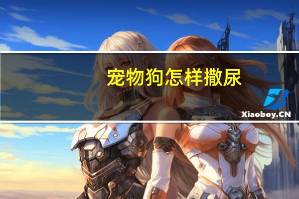 宠物狗怎样撒尿