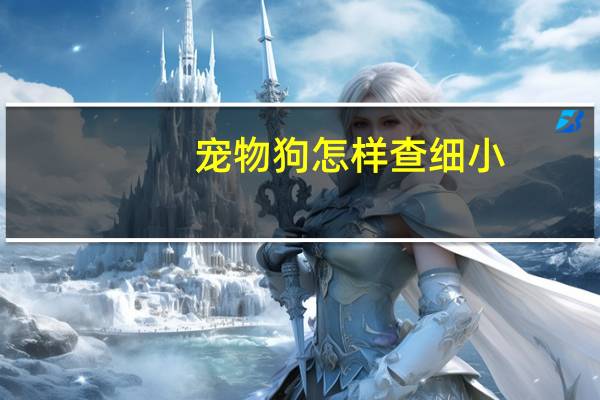 宠物狗怎样查细小