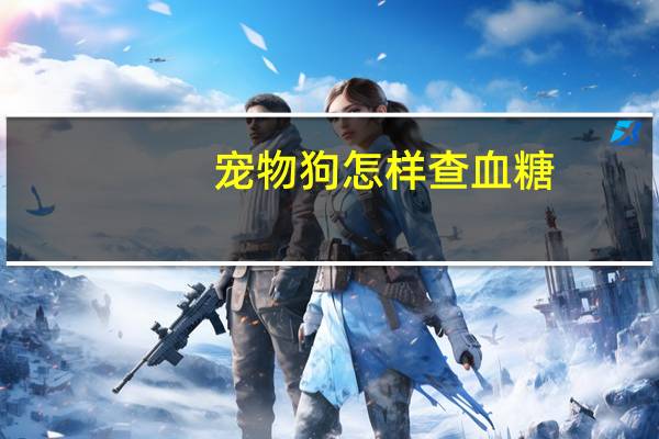 宠物狗怎样查血糖