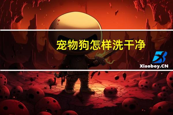 宠物狗怎样洗干净