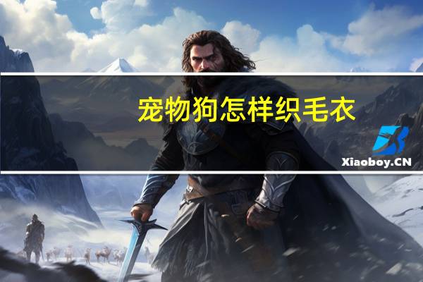 宠物狗怎样织毛衣