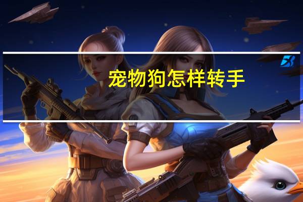 宠物狗怎样转手