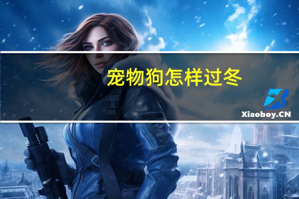 宠物狗怎样过冬