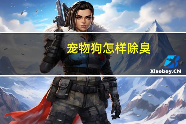 宠物狗怎样除臭