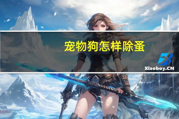 宠物狗怎样除蚤