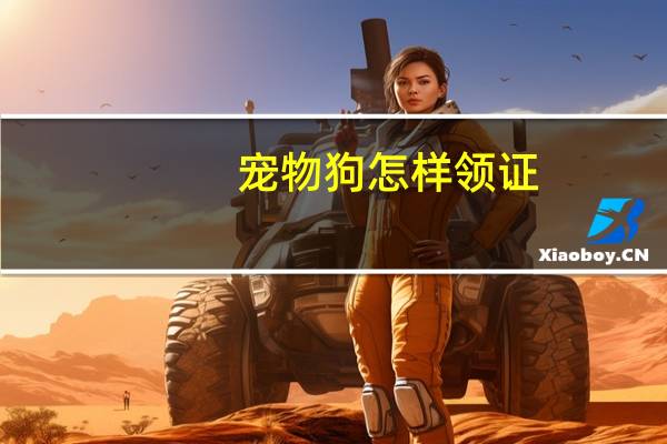 宠物狗怎样领证