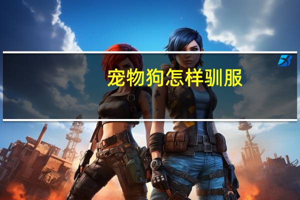 宠物狗怎样驯服