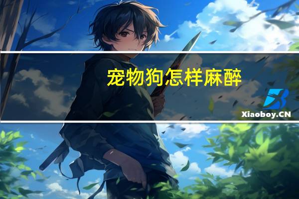 宠物狗怎样麻醉