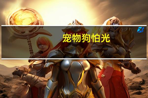 宠物狗怕光