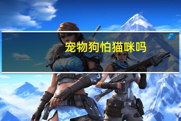 宠物狗怕猫咪吗
