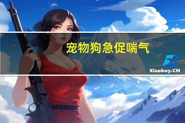 宠物狗急促喘气