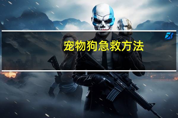 宠物狗急救方法