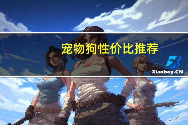 宠物狗性价比推荐