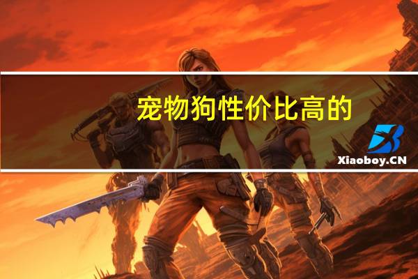 宠物狗性价比高的