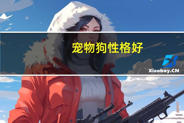 宠物狗性格好