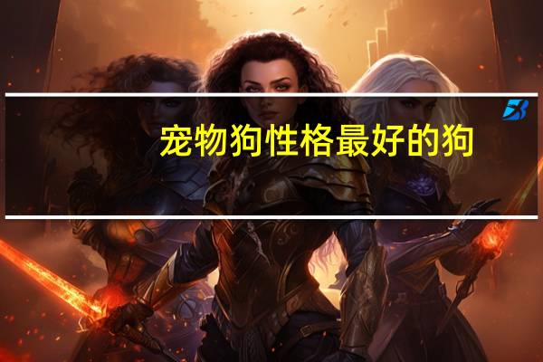 宠物狗性格最好的狗