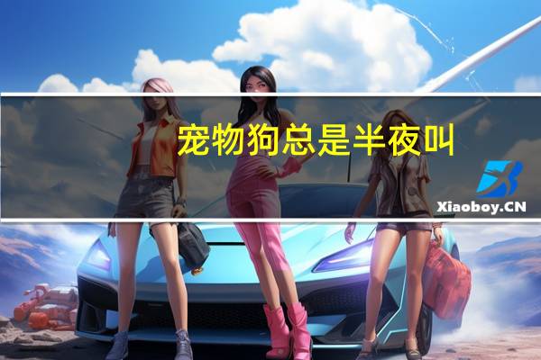 宠物狗总是半夜叫