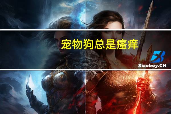 宠物狗总是瘙痒