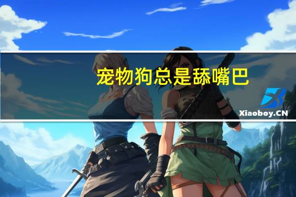 宠物狗总是舔嘴巴