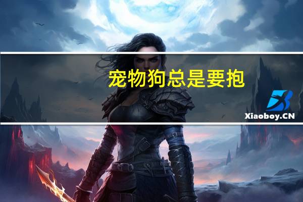 宠物狗总是要抱