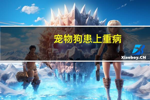 宠物狗患上重病